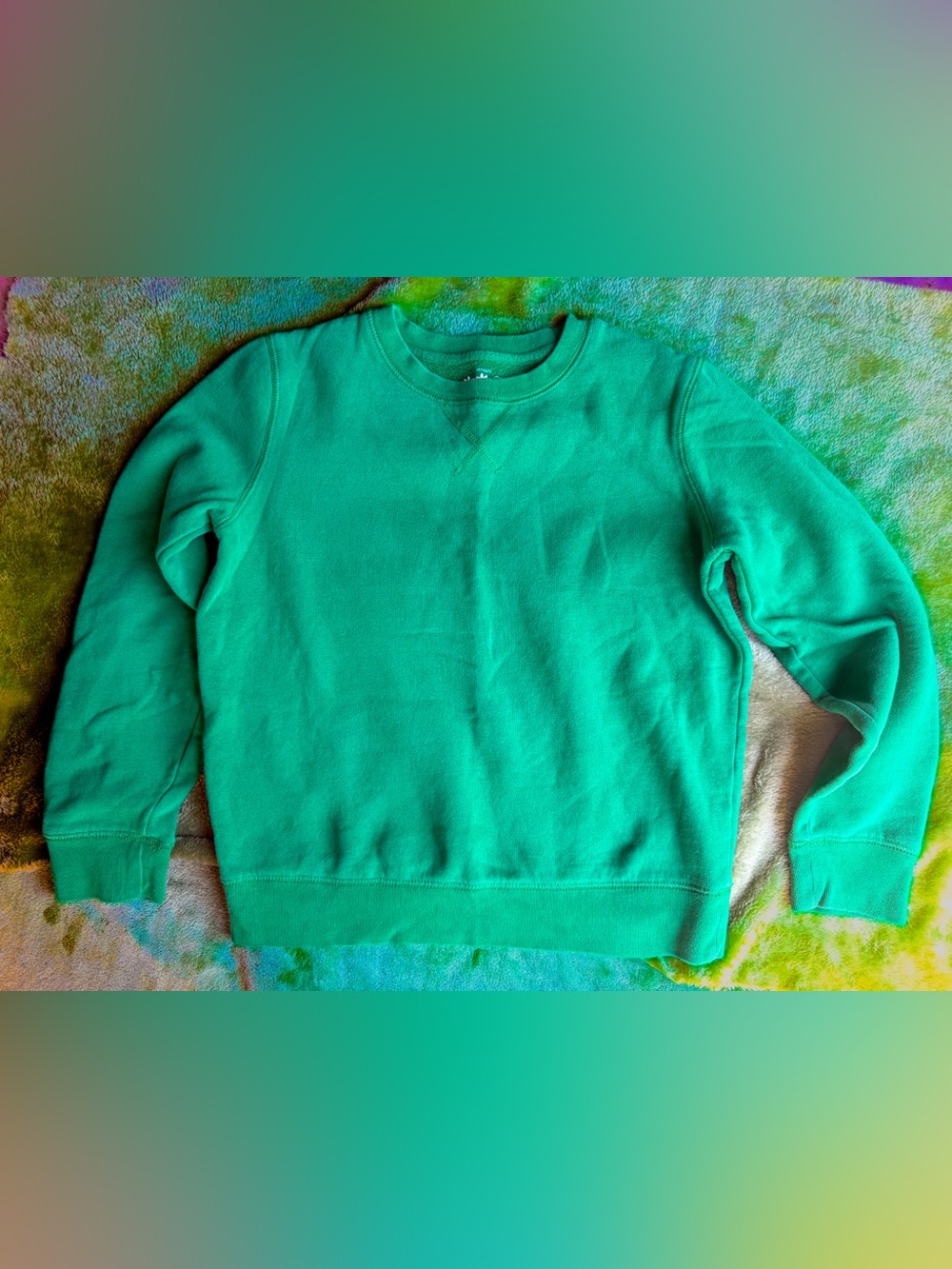 Primary Green Grass Crewneck Kids Sweatshirt Boy Girl sz 12 Terry Sensory Soft